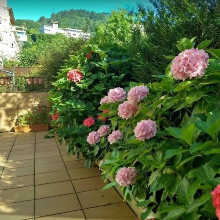 산세바스티안 Ondarreta Beach & Terrace 아파트 외부 사진